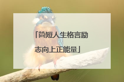 简短人生格言励志向上正能量