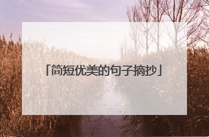 简短优美的句子摘抄