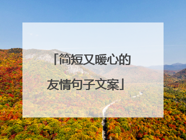 简短又暖心的友情句子文案