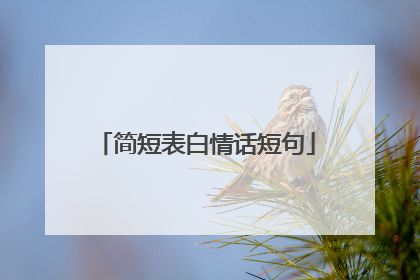 简短表白情话短句