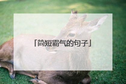简短霸气的句子