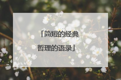 简短的经典哲理的语录
