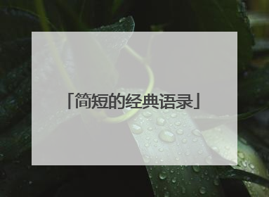 简短的经典语录