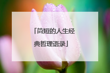 简短的人生经典哲理语录
