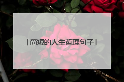 简短的人生哲理句子