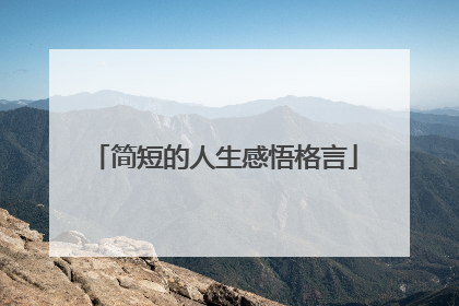 简短的人生感悟格言