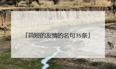 简短的友情的名句35条