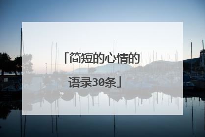 简短的心情的语录30条