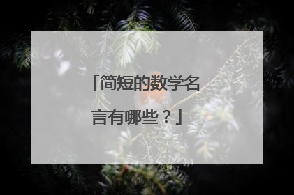 简短的数学名言有哪些？