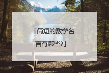 简短的数学名言有哪些?