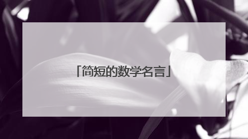 简短的数学名言