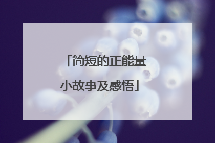 简短的正能量小故事及感悟