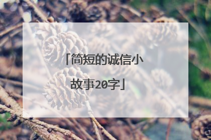 简短的诚信小故事20字