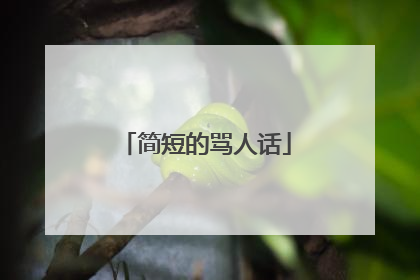 简短的骂人话