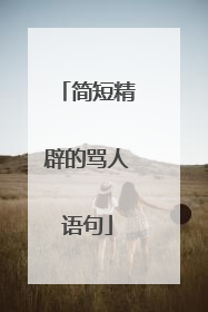 简短精辟的骂人语句