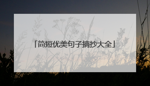 简短优美句子摘抄大全