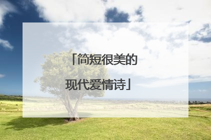 简短很美的现代爱情诗