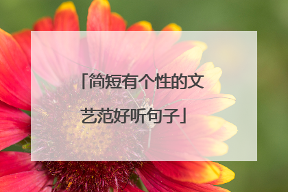 简短有个性的文艺范好听句子