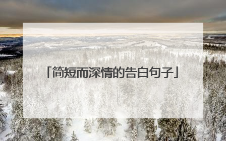 简短而深情的告白句子