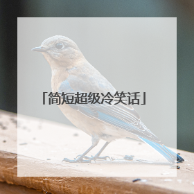 简短超级冷笑话