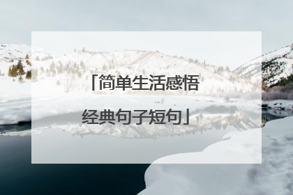 简单生活感悟经典句子短句