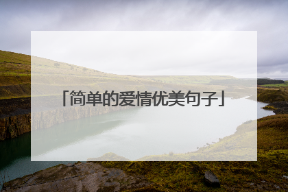 简单的爱情优美句子