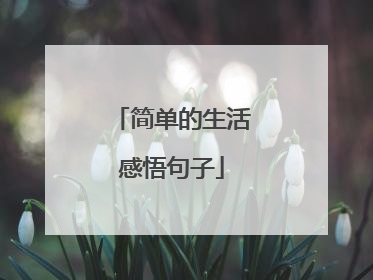 简单的生活感悟句子