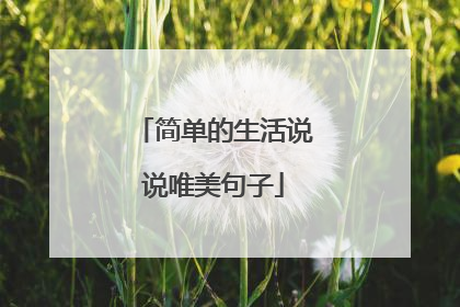 简单的生活说说唯美句子