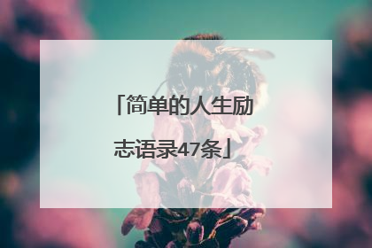 简单的人生励志语录47条