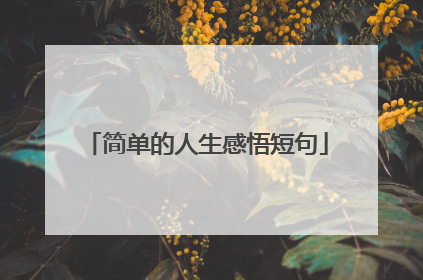 简单的人生感悟短句