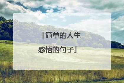 简单的人生感悟的句子
