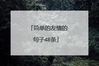 简单的友情的句子48条