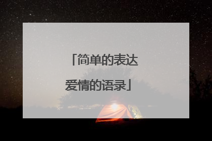 简单的表达爱情的语录