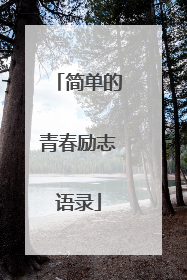 简单的青春励志语录
