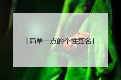 简单一点的个性签名
