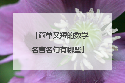 简单又短的数学名言名句有哪些