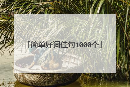 简单好词佳句1000个