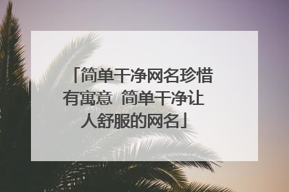 简单干净网名珍惜有寓意 简单干净让人舒服的网名