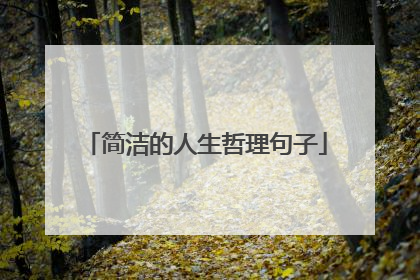 简洁的人生哲理句子