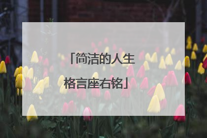 简洁的人生格言座右铭