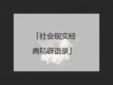 社会现实经典精辟语录