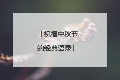 祝福中秋节的经典语录