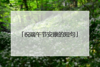 祝端午节安康的短句