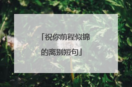 祝你前程似锦的离别短句