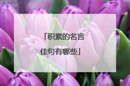 积累的名言佳句有哪些