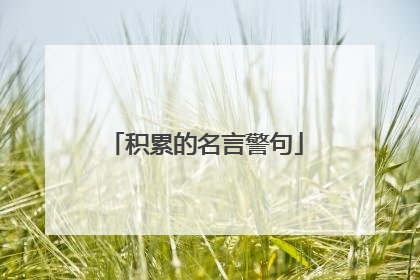 积累的名言警句