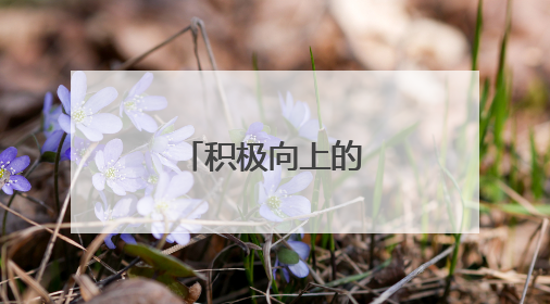 积极向上的励志座右铭