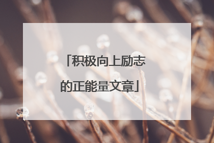 积极向上励志的正能量文章