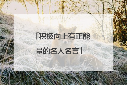 积极向上有正能量的名人名言