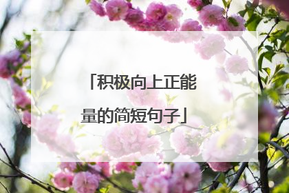 积极向上正能量的简短句子